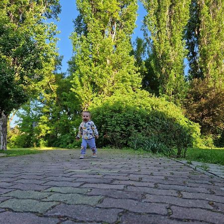 Róza Hotel és Apartmanház Esztergom Esterno foto