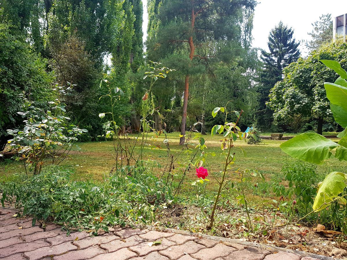 Róza Hotel és Apartmanház Esztergom Esterno foto