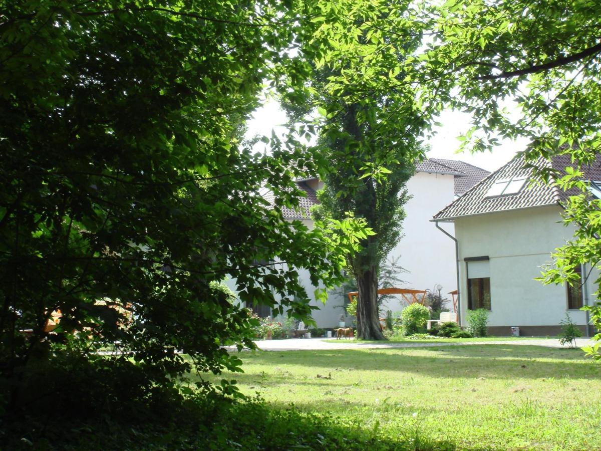 Róza Hotel és Apartmanház Esztergom Esterno foto